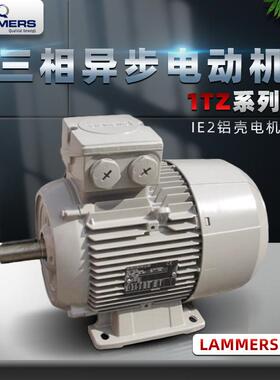 德国电机LAMMERS电机 LAMMERS Motor三相异步电动机