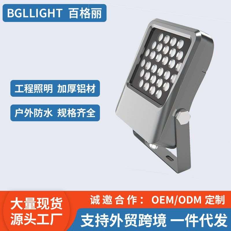 百格丽 led户外投光灯防水灯高流明楼体亮化工程景观园林48W建筑