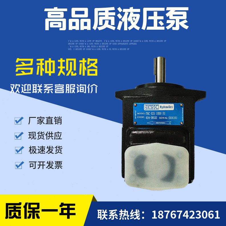 11R 6100 R)   1 -30R (-T14101C020RB6R1-02丹10T1B0C叶片泵尼逊