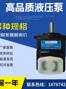 11R 6100 R)   1 -30R (-T14101C020RB6R1-02丹10T1B0C叶片泵尼逊