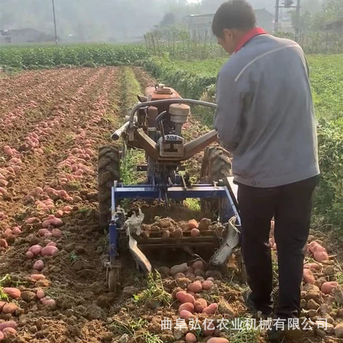 10马力全自动长果收获机多用途地瓜起果机芋头地蛋振筛式出果机