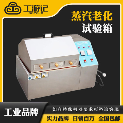 蒸汽老化试验箱蒸气电镀元件寿命加速模拟环境试验机抗老化测试仪