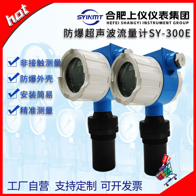 上仪防爆超声波液位计物位计水位计隔爆超声波液位仪SY300E厂家