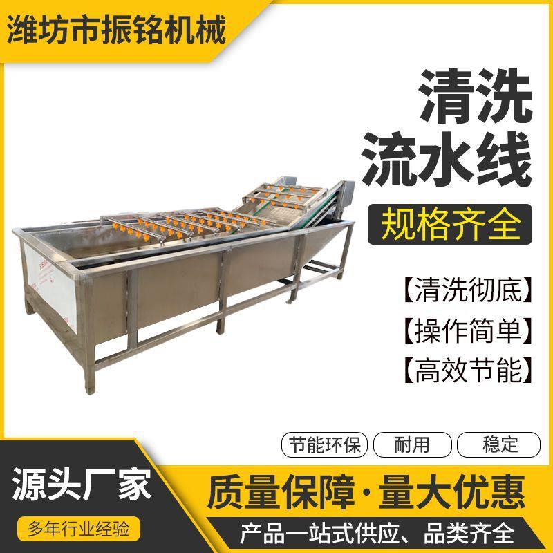 果蔬清洗机橙子橘子清洗设备包装袋清洗机叶类根茎类气泡清洗机