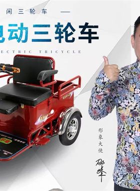 成人电动三轮车老年人女士三轮电动车老年三N轮车接送孩子 爬坡王