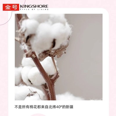 纯棉被套单件1米50x200230cm单人学生宿舍180x220240全棉被罩新款