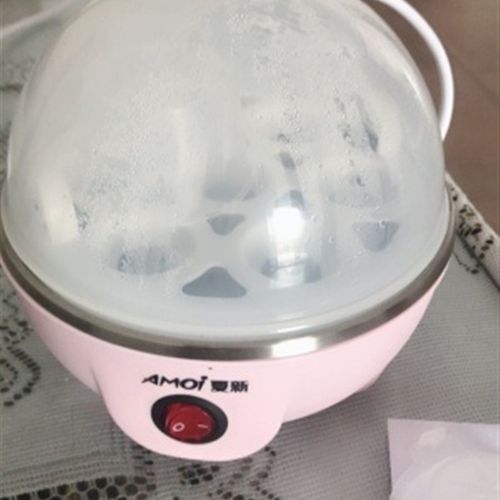 煮蛋器蒸蛋器自动断电小型煮鸡蛋羹机早餐机迷Q你多功能家用宿舍