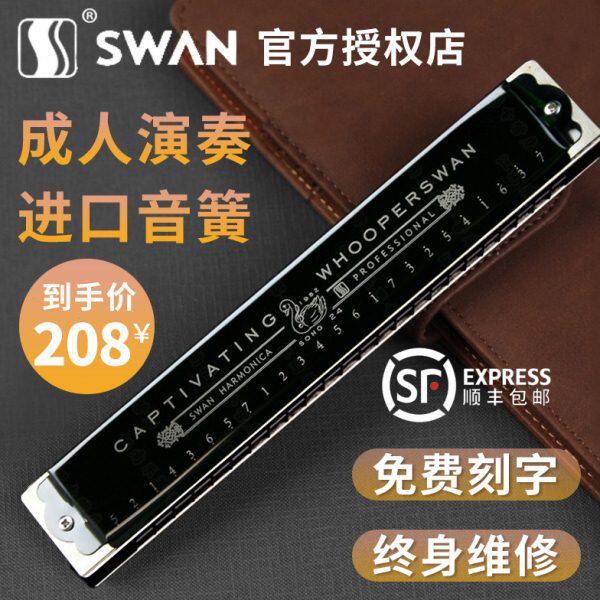 专业德国进口簧学生演奏音成人复级入门音初学者C调口琴高级24孔