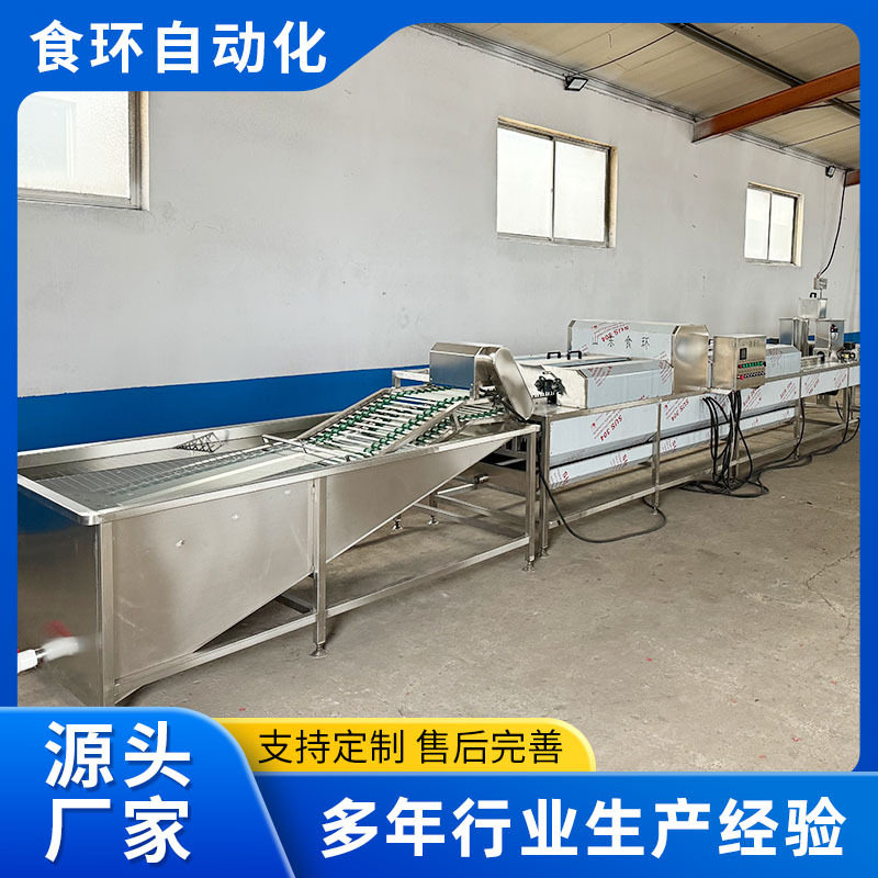 多排自动鸡蛋清洗机 包灰蛋清洗皮蛋清洗机 鸡蛋鸭蛋不锈钢洗蛋机