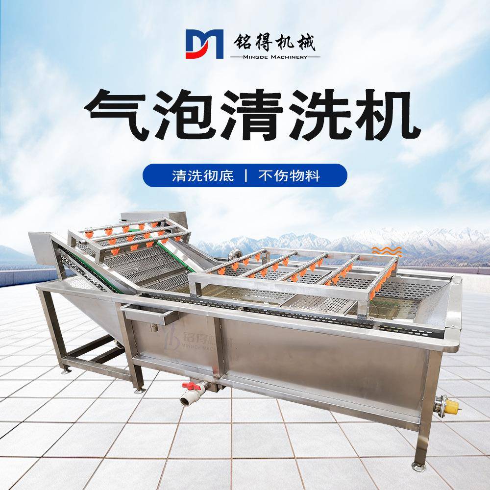 新式山楂秋梨洗果机 臭氧去农残气泡清洗机 翻浪式蔬菜洗菜设备
