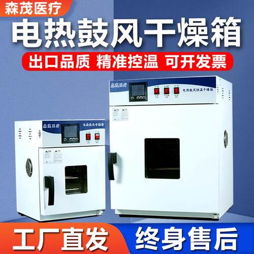 电热恒温鼓风干燥箱高温加热小型工业烤箱实验室医院高温烘箱