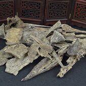 料熏香沉香料鸿料倒香熏香香薰壳香沉制水原木碎料虫漏架郝睿工