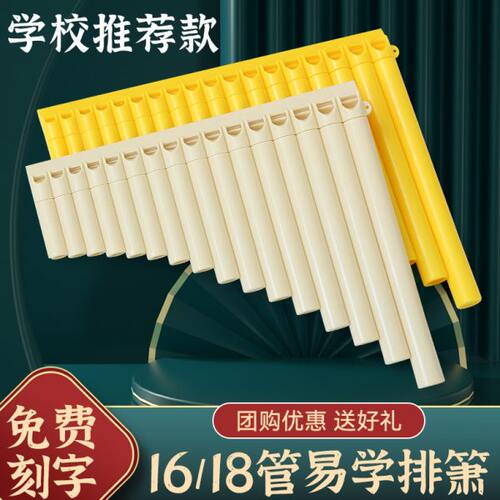 18易学初学者演奏笛入门儿童排乐器小学生16管专业管箫民族排专用