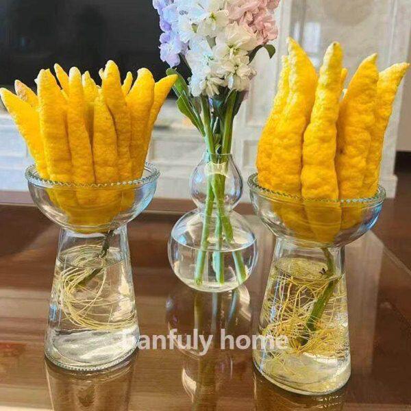 佛手陶瓷培玻璃水养花插花器柑水培器皿花瓶花盆观赏创意容摆件