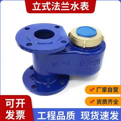 铸铁立式水表 不锈钢立式竖装水表 下进上出冷水表DN50 65 80 100