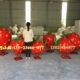 娃人偶装 饰摆件农业草莓创意雕塑展示象大型草莓模型玻璃钢形草地