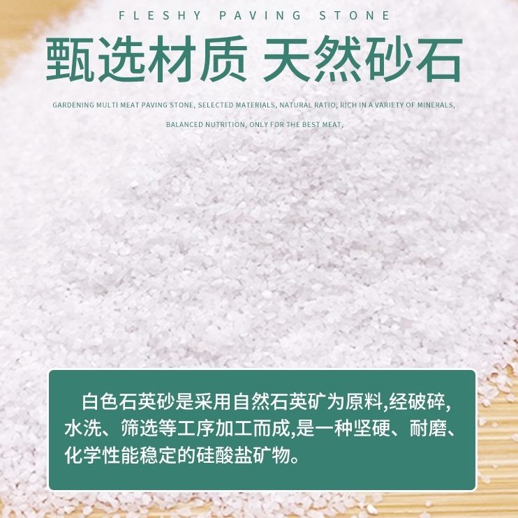细儿童酒店水沙白丙烯石英砂鱼缸装饰白白色造景沙画砂烟灰缸过滤图片