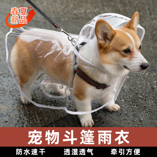 狗狗雨衣斗篷护肚柯基专用中小型犬透明披风防水宠物衣服遛狗神器