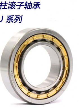 3滚NI219    2121N217轴承21 21子6  8  220M5UP圆柱N21EJU4