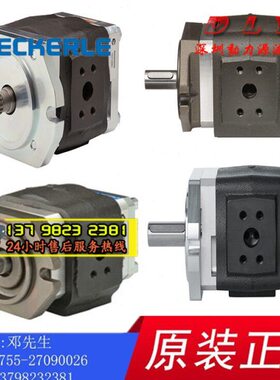 EIPC6-125RP30/160RP30/250RP30/125LP30/160LP30/250LP30-10/11