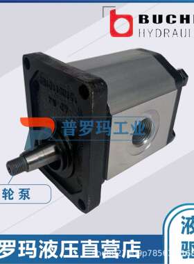 德国油泵布赫BUCHER齿轮油泵AP100/1.2 /1.7/2.5/3.5/4.3/5/6.5/8