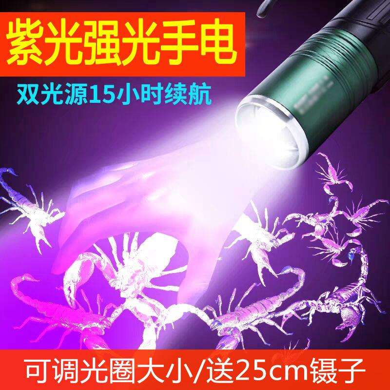 照蝎子灯强光超亮可充电大功率调焦四核灯珠养蝎子豆手提虫灯电筒