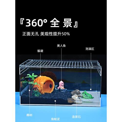 角蛙饲养箱生态缸造景青蛙套餐爬宠干湿分离角蛙专用饲养盒亚克力