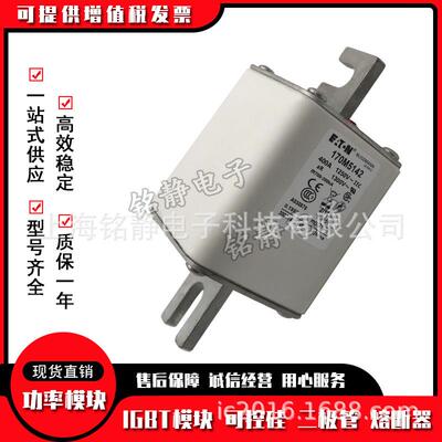 170M5164 170M5165 170M5166巴斯曼保险丝170M5167熔断器170M5168