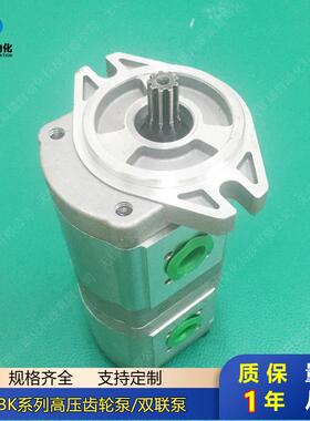 双联齿轮泵CBK1010/06 CBK1010/04 CBK1008/08 CBK1008/06质保1年