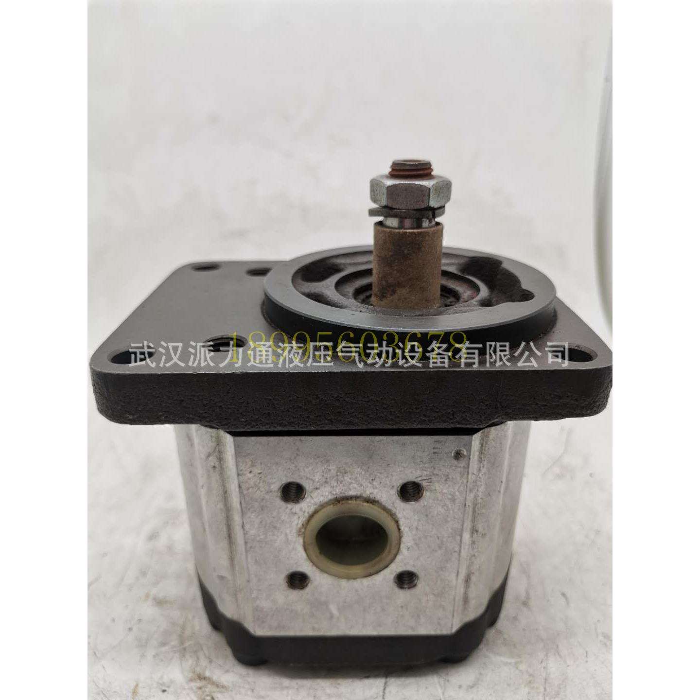 REXROTH力士乐齿轮泵0517625301液压油泵AZPS-11-016LCB20MB