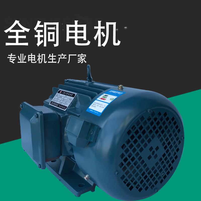 浙江瑞安鸿祥电机YLJ100-6N-6卧式三相力矩电动机