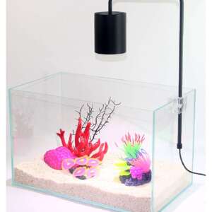 SHANDA新款圆形LED筒灯小型微型草缸照明热卖创意高亮补光LED夹灯