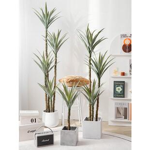 北欧风仿真植物七彩龙血树盆栽千年木马尾铁绿植假树大型落地摆件