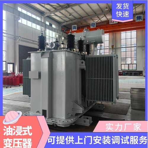 青电变压器厂 S13-M-400 500 630KVA油浸式变压器S20、S22系列