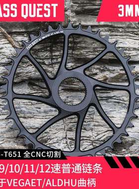 PASS QUEST 3mm Rotor曲柄 直装正负齿单盘Vegast Aldhu