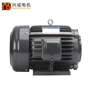 液压油泵YT112M 电机 4极3.75KW配PV2R1叶片泵5HP油泵交流卧式