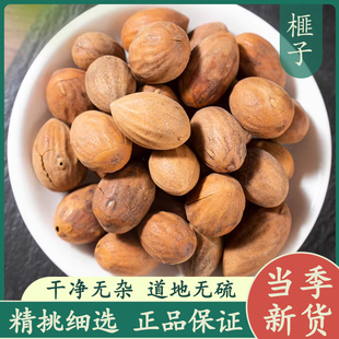 榧子50g中草药材正品新货 精选生香榧子玉山果赤果玉榧香榧药用