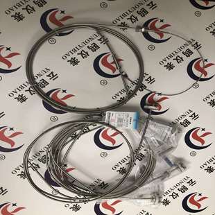 炼钢炉测温用WZPK-131不锈钢热电阻WZPK2-435WZPK-126S