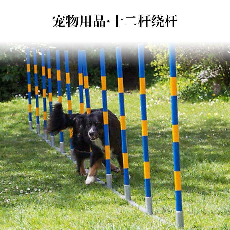金属训狗器械狗狗绕杆FCI标准犬敏捷训练器材宠物狗S杆