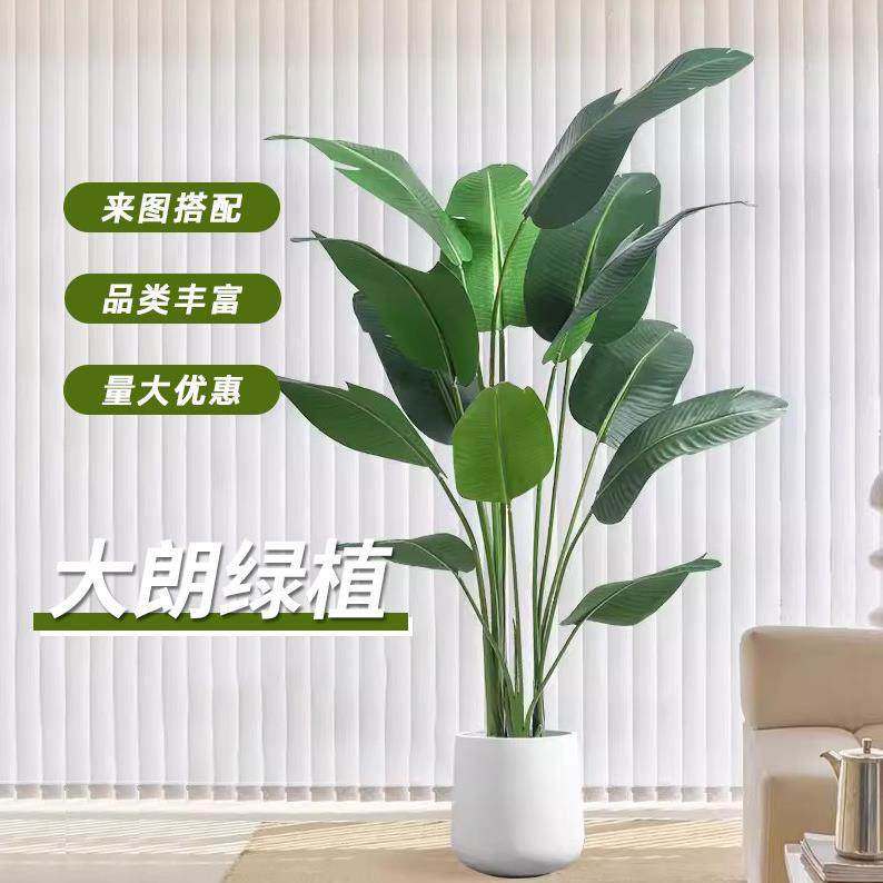 仿真植物落地天堂鸟门店客厅花装饰美人蕉假盆栽绿植树仿真旅人蕉
