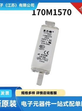 170M6925 170M6926 170M6927 170M6928原厂高压熔断器 保险丝