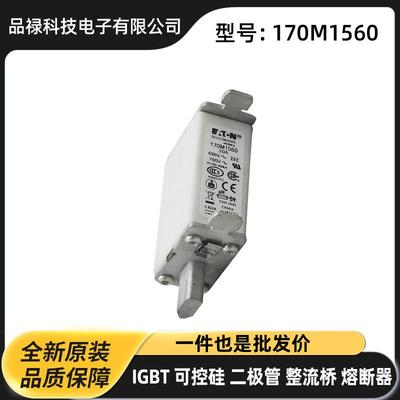 170M1560 170M1561 170M1562快速熔断器直流熔芯原装现货速断