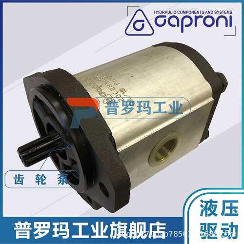 卡普罗尼Caproni齿轮泵20A(C)4.5/8.2/11.3/15/19/25Y006 液压泵