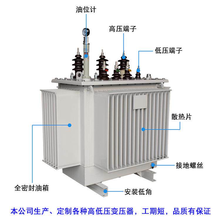 S9-10KVA油浸式电力变压器10KV变400V铁塔通信柱上变压器20/30KVA