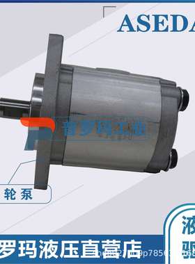 ASEDA齿轮双联泵SAP20-4X4 SAP20-8X8 SAP20-14X14 SAP20-20X20
