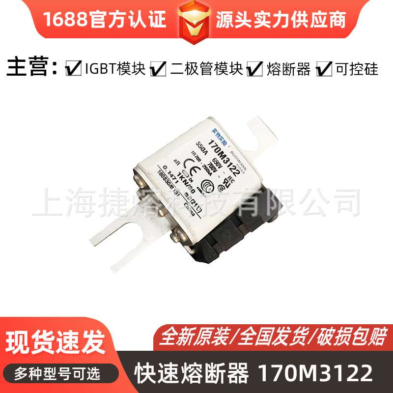 170M3122 170M3142 170M3144直流快速熔断器 电子元器件 库存充足