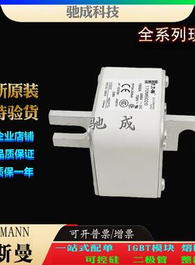 巴斯曼170M6020 170M6021 170M6028 厂家直供零售 高速熔断器
