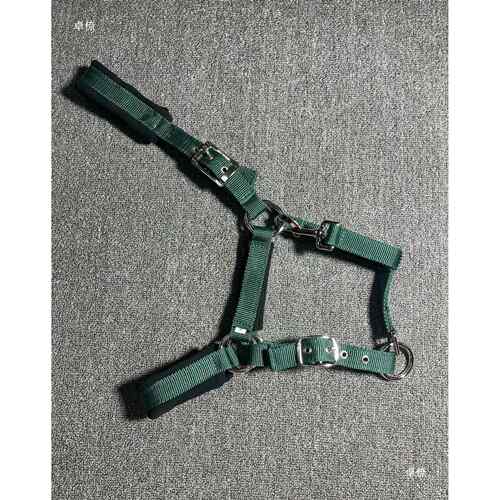 墨绿色尼龙织带小驹子小马大马S/M/L/XL码马笼头/牵马绳马术马具