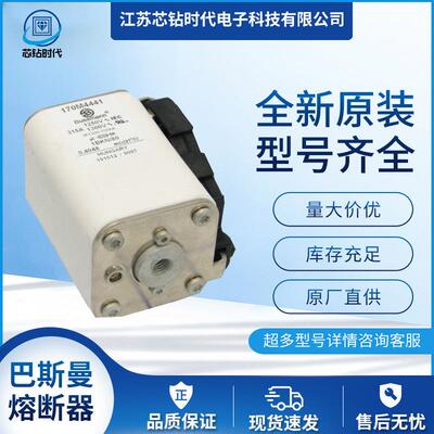 170M4446 170M4447 巴斯曼BUSSMANN熔断器保险丝