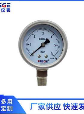 厂家供应Y100BF全不锈钢压力表不锈钢耐震压力表径向微压表